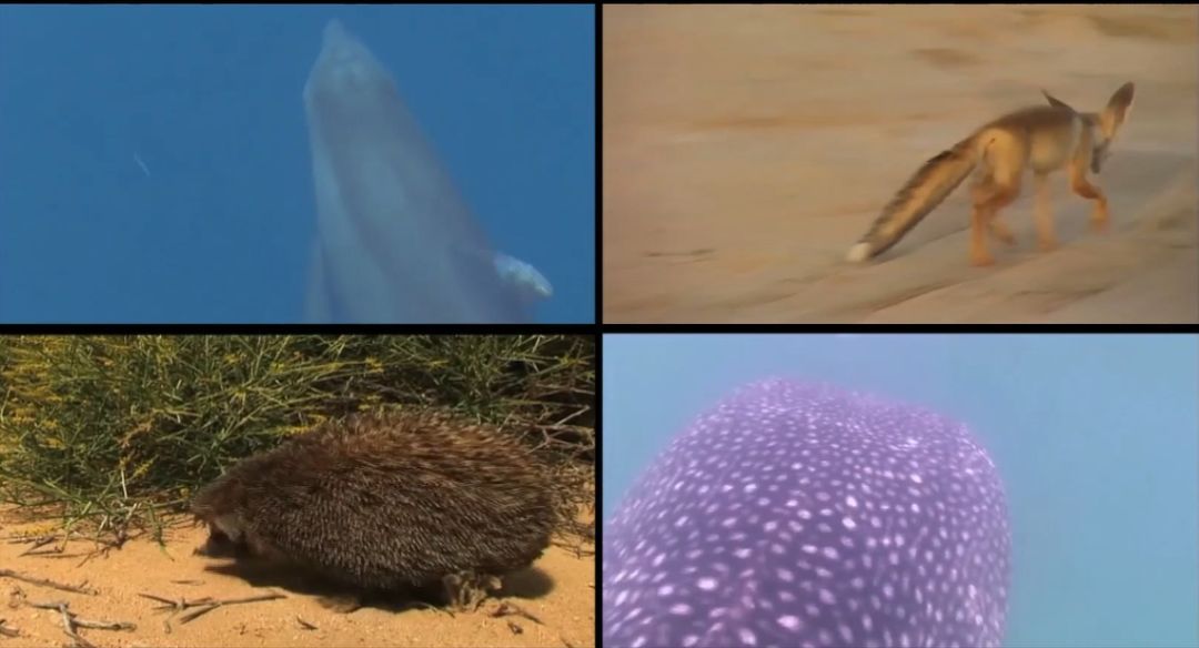 尊龙时凯·Z6(中国区)人生就是拼搏!