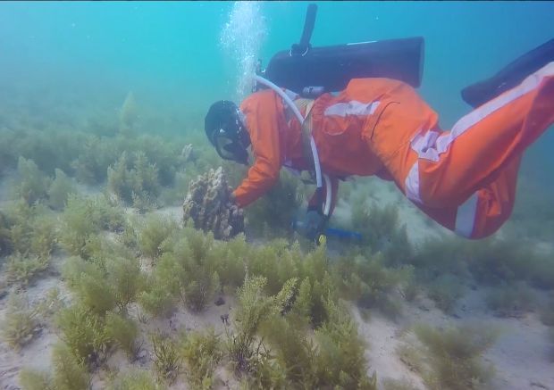 尊龙时凯·Z6(中国区)人生就是拼搏!