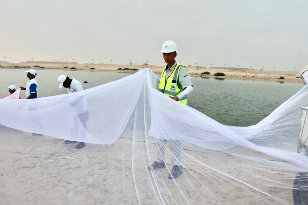 尊龙时凯·Z6(中国区)人生就是拼搏!