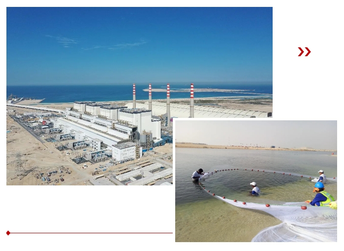 尊龙时凯·Z6(中国区)人生就是拼搏!