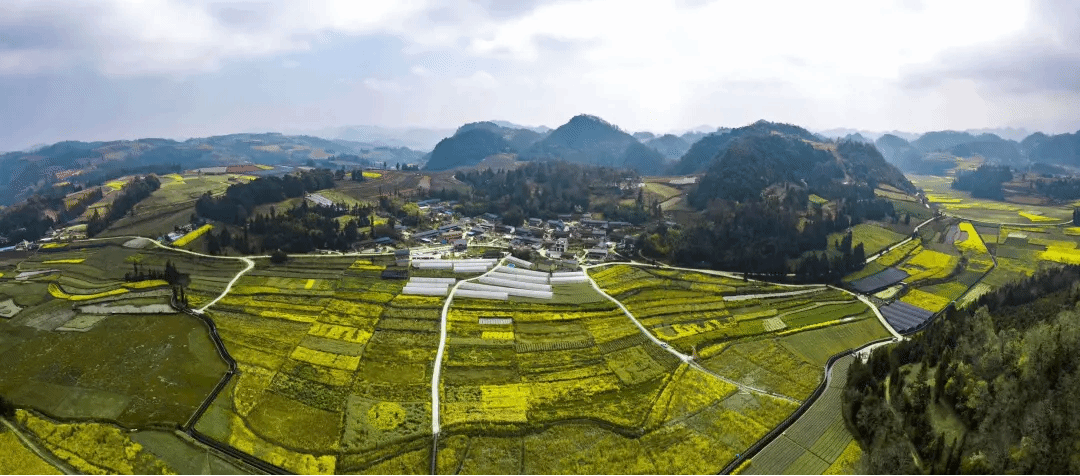 尊龙时凯·Z6(中国区)人生就是拼搏!