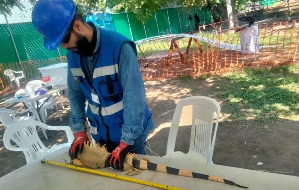 尊龙时凯·Z6(中国区)人生就是拼搏!