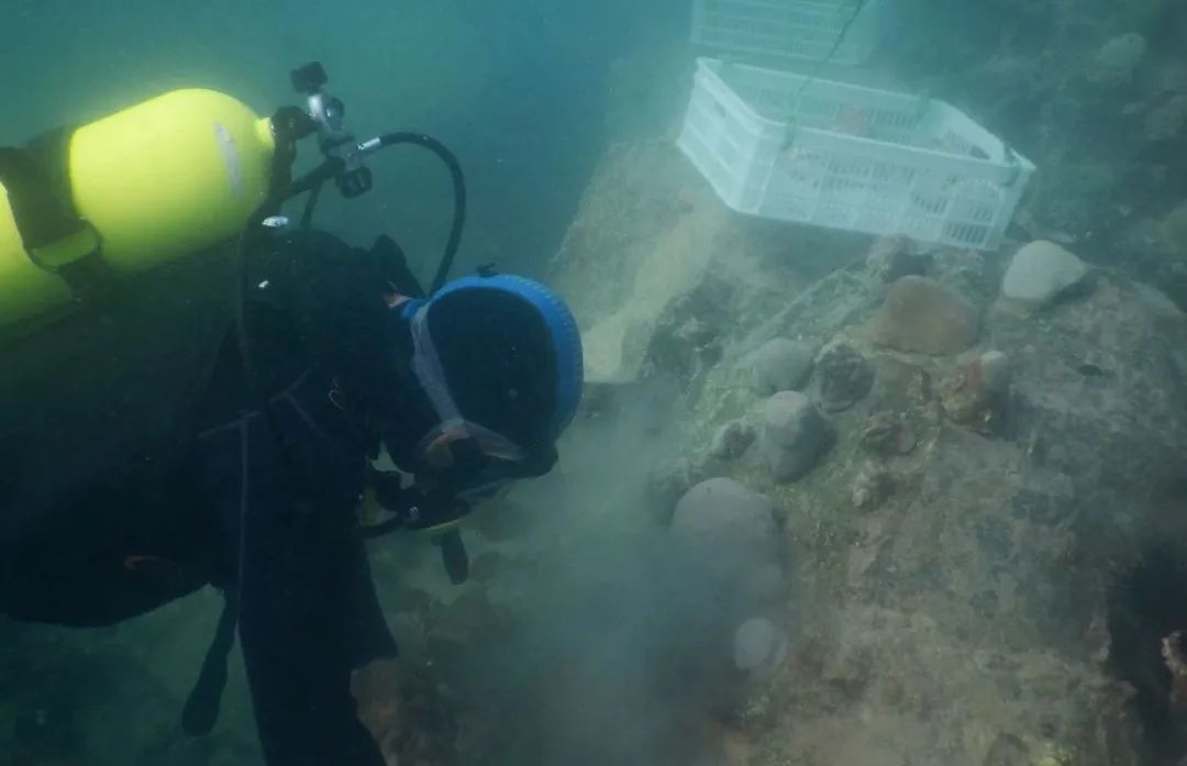 尊龙时凯·Z6(中国区)人生就是拼搏!