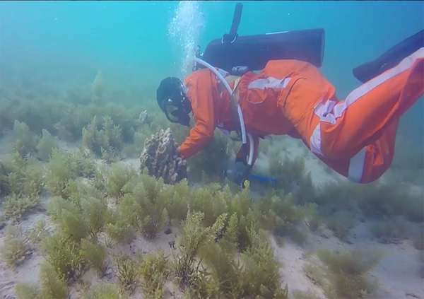 尊龙时凯·Z6(中国区)人生就是拼搏!