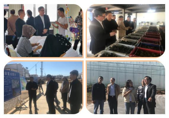 尊龙时凯·Z6(中国区)人生就是拼搏!