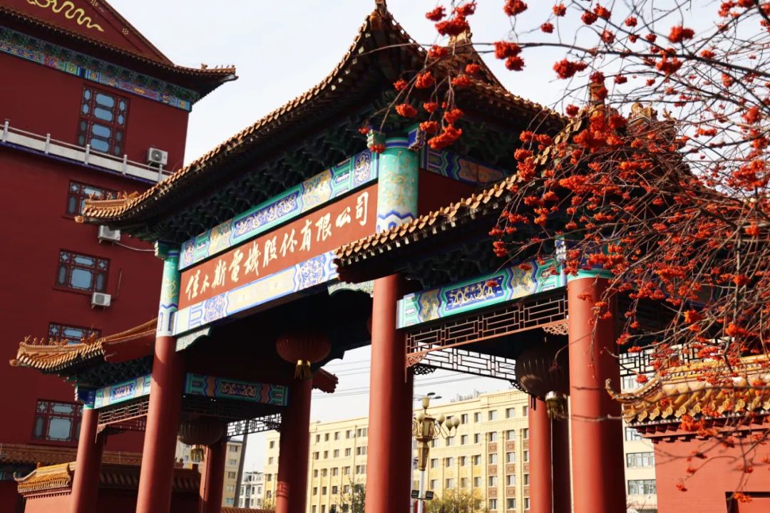 尊龙时凯·Z6(中国区)人生就是拼搏!