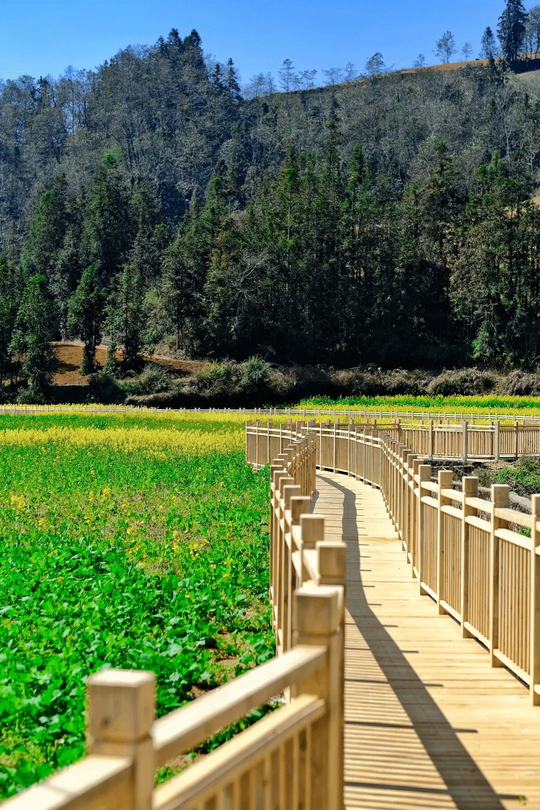 尊龙时凯·Z6(中国区)人生就是拼搏!