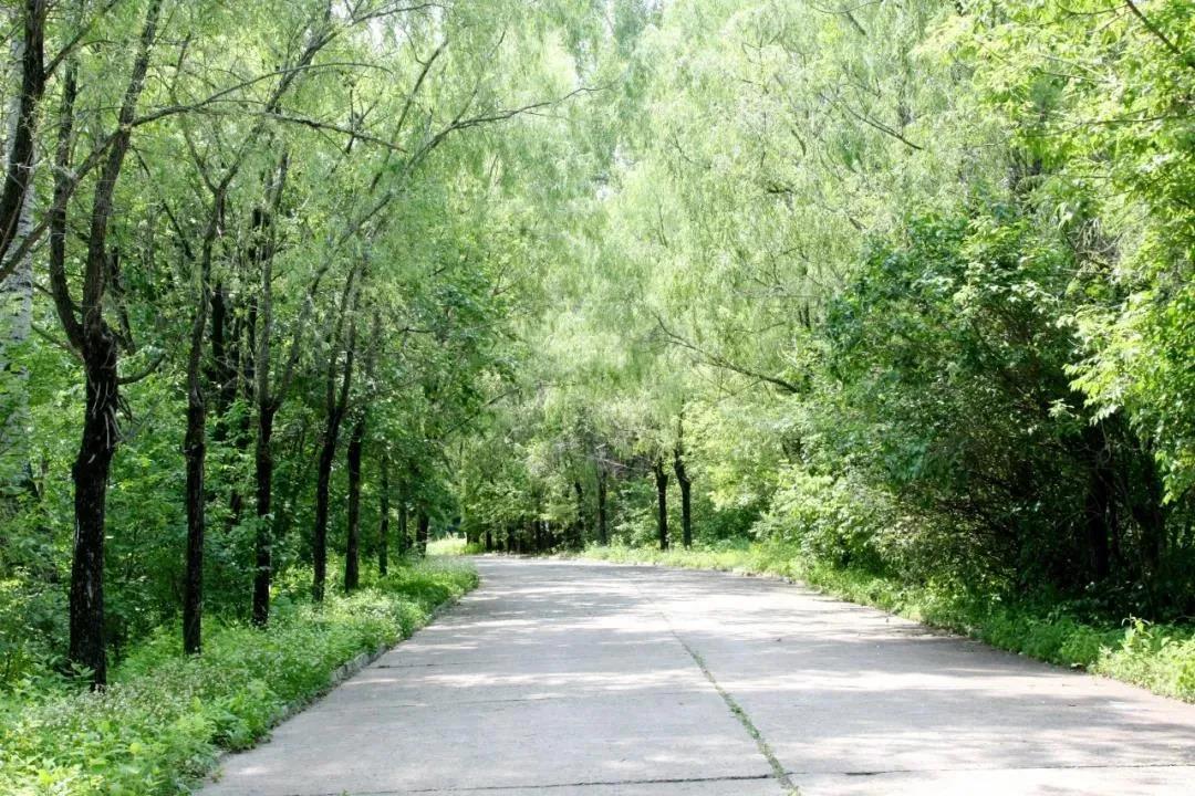 尊龙时凯·Z6(中国区)人生就是拼搏!