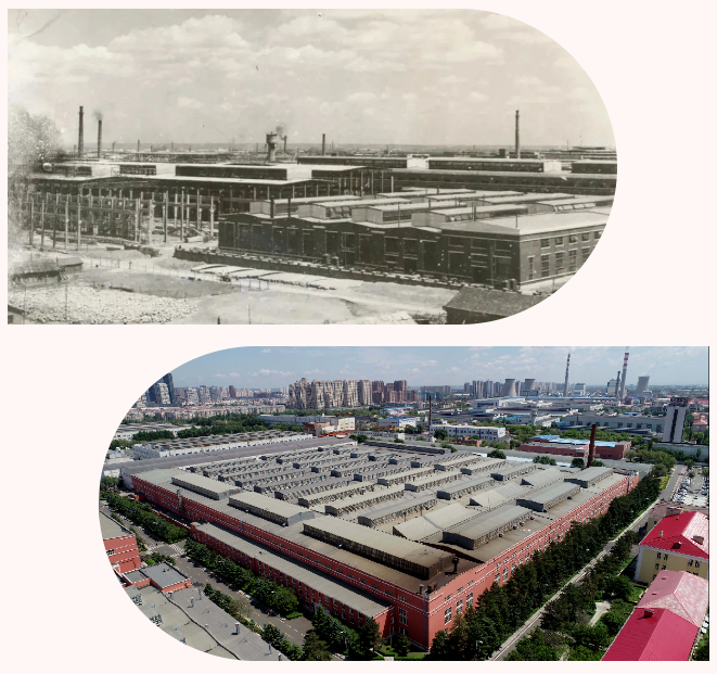 尊龙时凯·Z6(中国区)人生就是拼搏!