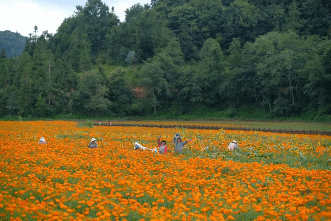 尊龙时凯·Z6(中国区)人生就是拼搏!