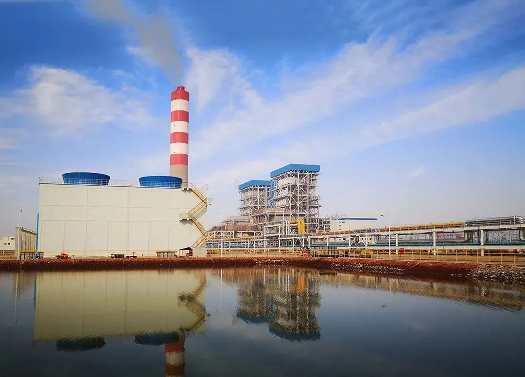 尊龙时凯·Z6(中国区)人生就是拼搏!