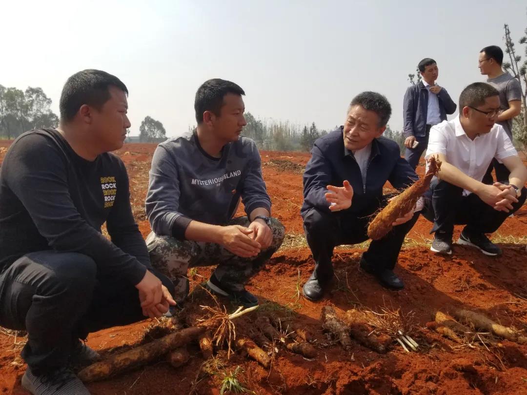 尊龙时凯·Z6(中国区)人生就是拼搏!