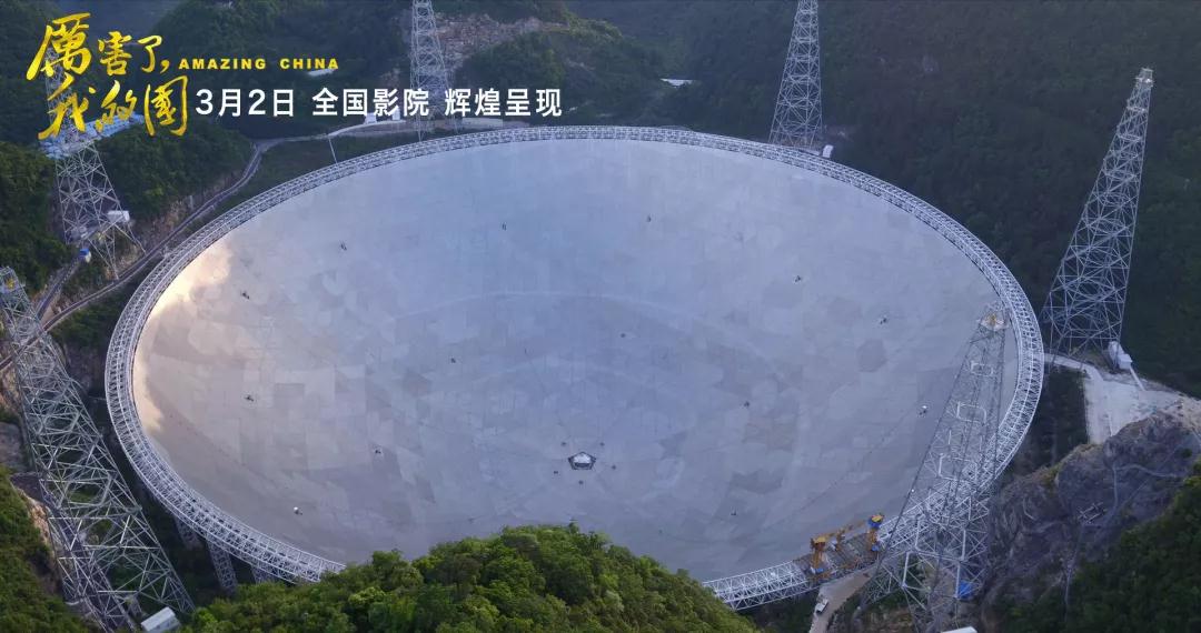 尊龙时凯·Z6(中国区)人生就是拼搏!