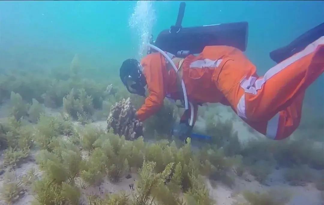 尊龙时凯·Z6(中国区)人生就是拼搏!